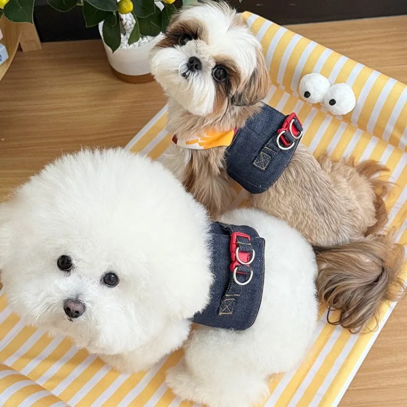 Huisdier Denim Puppykleding Tr - Summer Clothing Release recensie en prijs